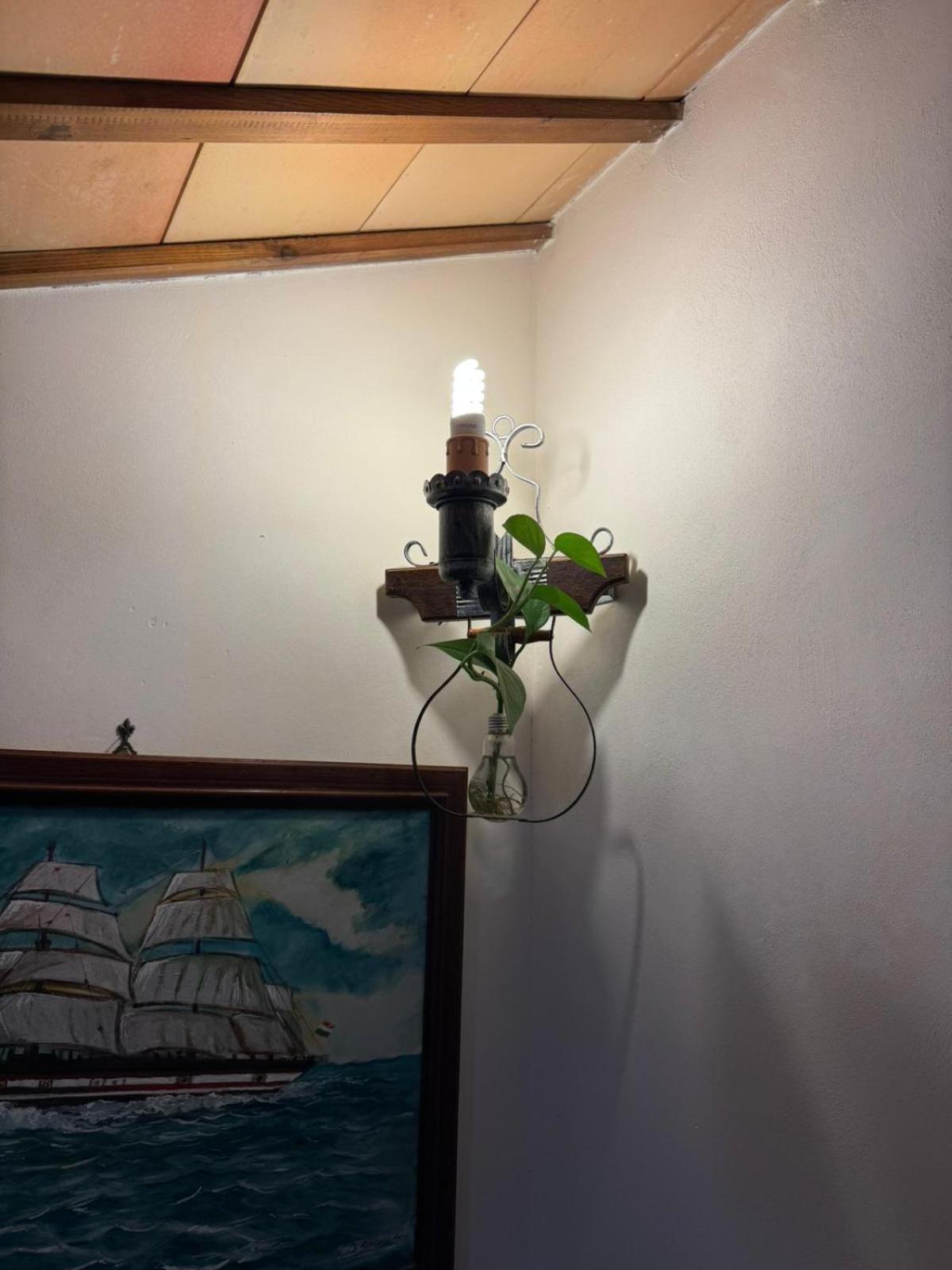 B&B Le Macine 1868 Paceco Zewnętrze zdjęcie